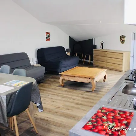 Residences Du Palmier * Saint-Laurent-sur-Sèvre