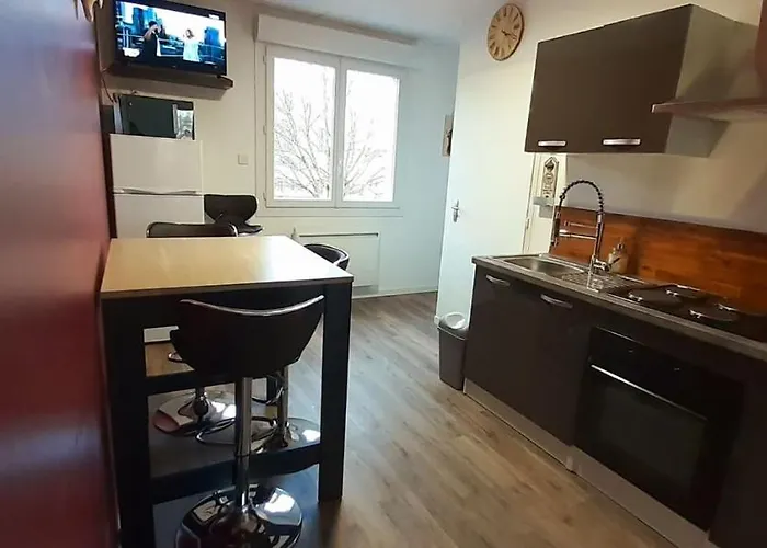 Residences Du Palmier Saint-Laurent-sur-Sevre