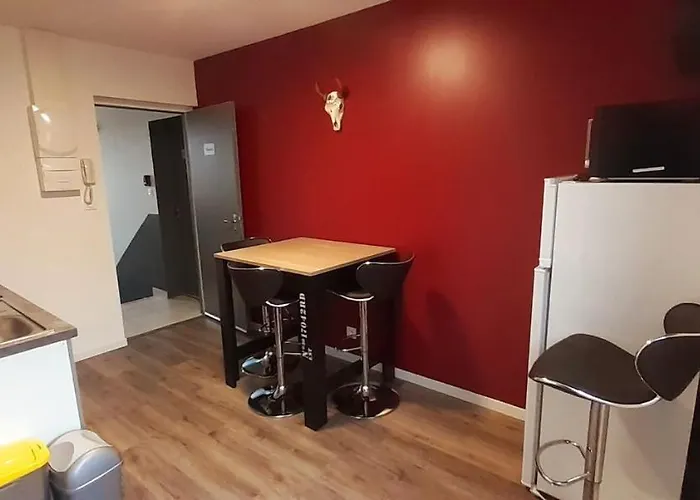 公寓 Residences Du Palmier 塞夫勒河畔圣洛朗