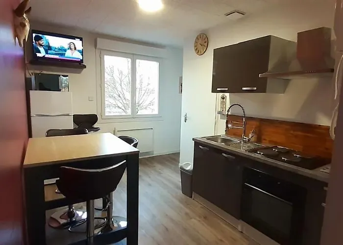 Residences Du Palmier * 塞夫勒河畔圣洛朗