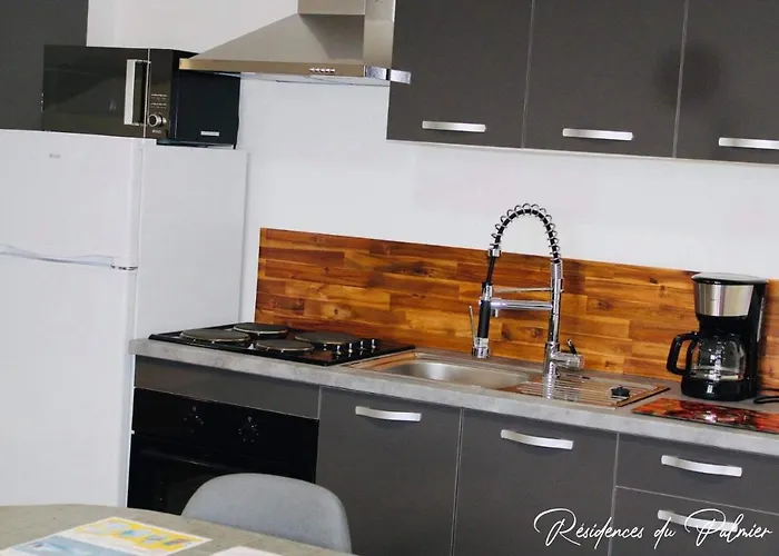 Residences Du Palmier Apartment Saint-Laurent-sur-Sevre