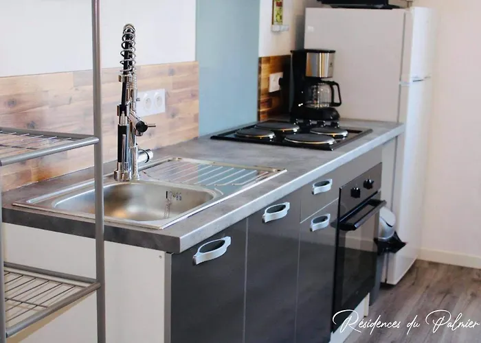 Residences Du Palmier 塞夫勒河畔圣洛朗