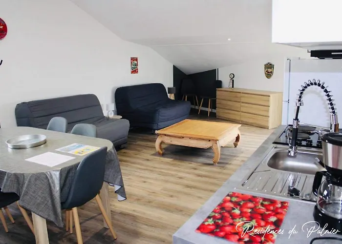 Residences Du Palmier * Saint-Laurent-sur-Sevre